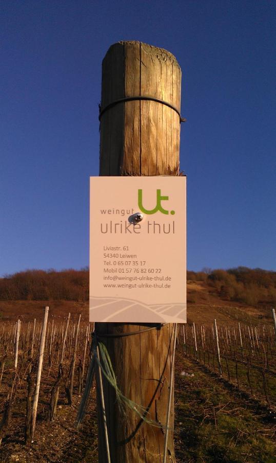 Ferienwohnung Ferienweingut Ulrike Thul Leiwen Exterior foto